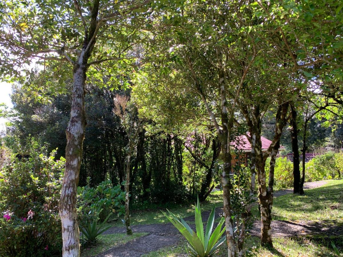 Bed and Breakfast Rancho Makena Monteverde Exterior foto